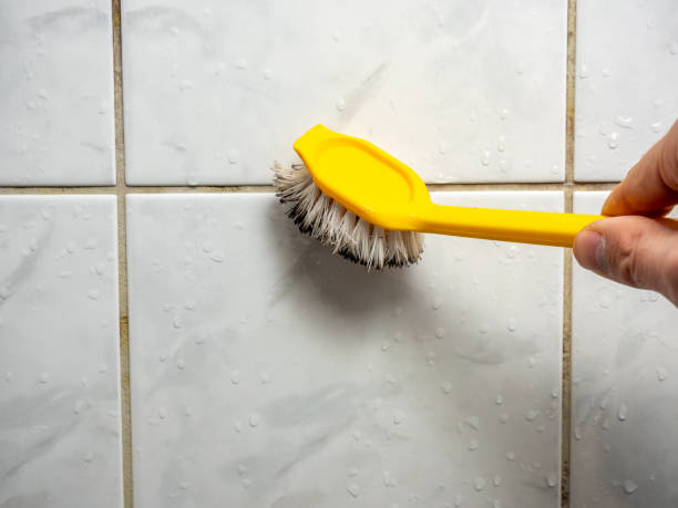 Plano, KY Mold Removal Company