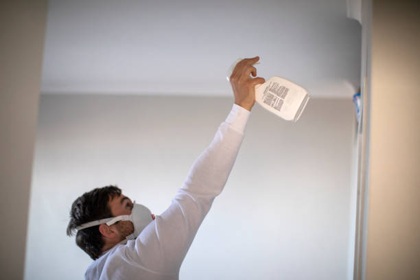 Best Black Mold Removal  in Plano, KY