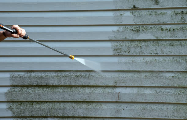 Home Mold Removal in Plano, KY